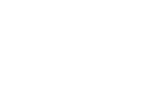 morphosis